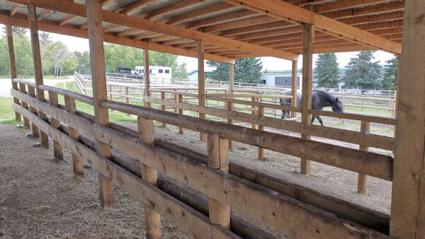 Stable plank and post & rail WOOD FENCING (1)